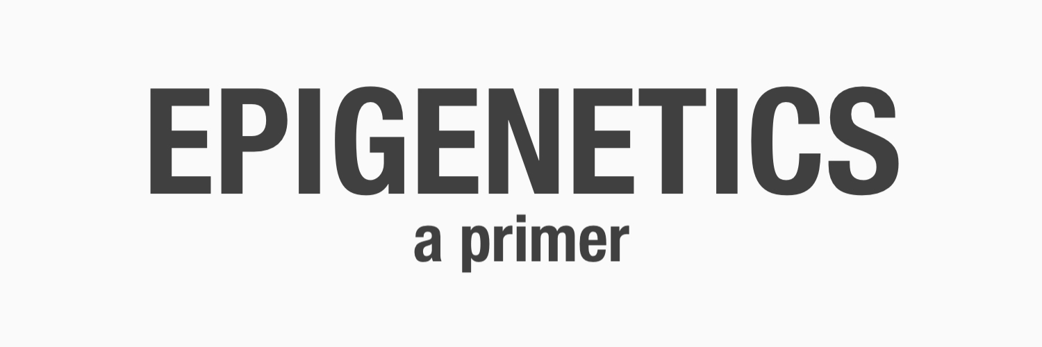 Epigenetics: A Primer
